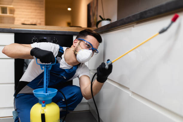 Best Pest Control for Businesses  in Greenback, TN