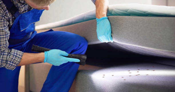 Best Pest Inspection Near Me  in Greenback, TN